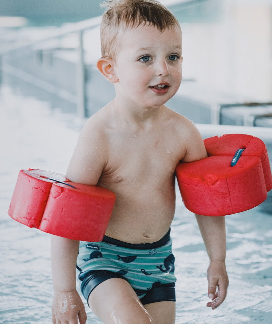 Watery swim nappies for kids - Neoprene Swim Nappy - Purple Stripes