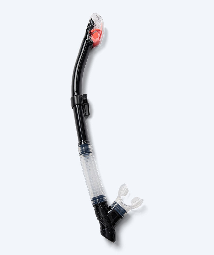 Watery adult snorkel set - Delphina Hudson - Black