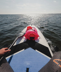 Watery paddleboard - Global 10'6 SUP - Blue